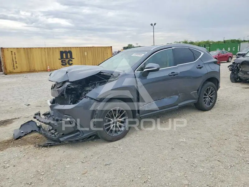 2024 Lexus NX250 фото