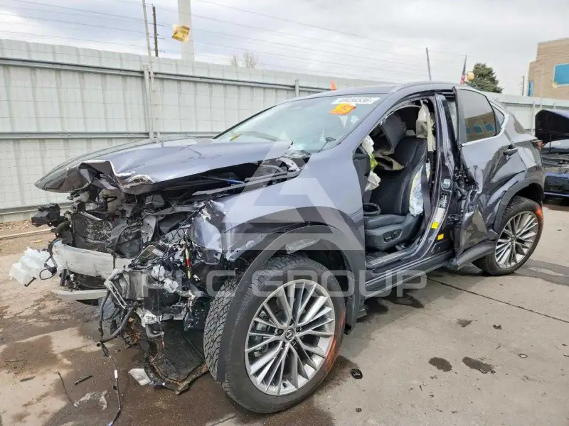 2024 Lexus NX250 фото