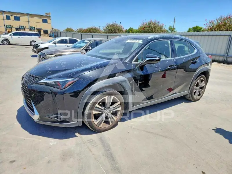 2024 Lexus UX фото