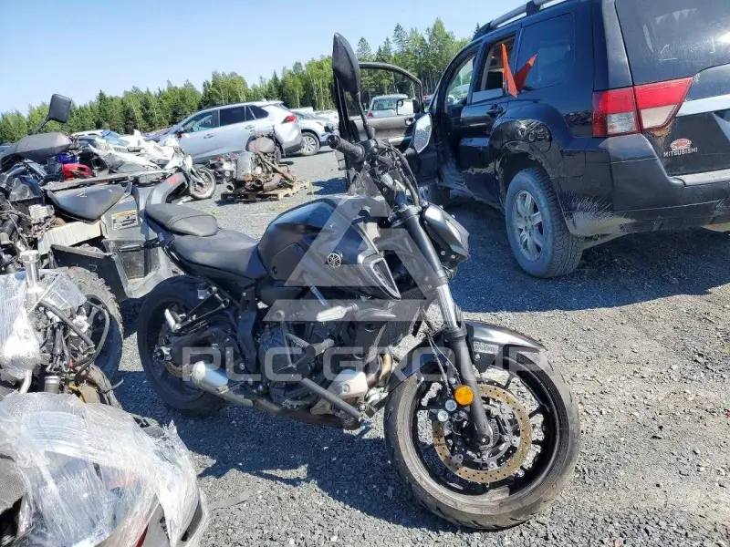 2024 Yamaha  фото