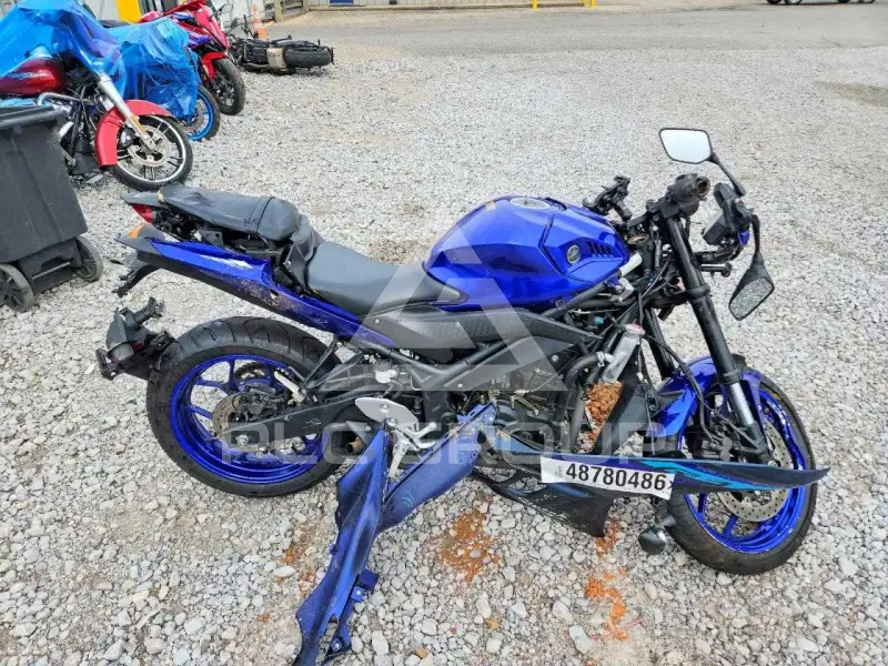 2024 Yamaha YZF600 фото
