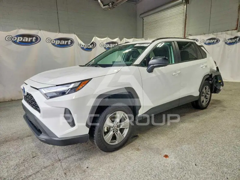2024 Toyota RAV4 photo