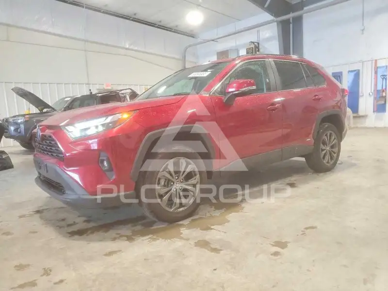 2024 Toyota RAV4 фото