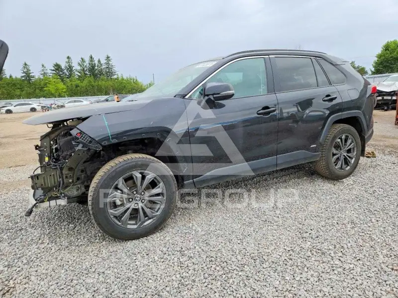 2024 Toyota RAV4 photo