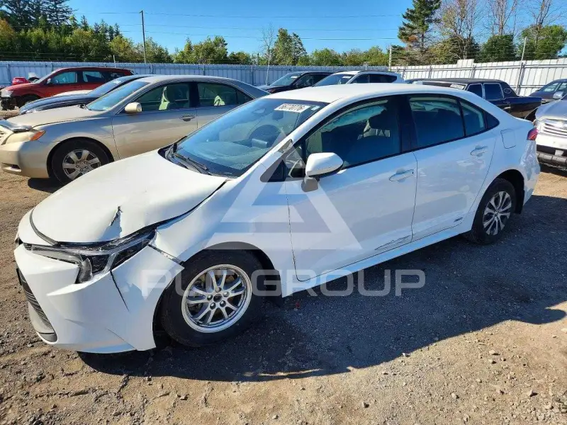 2024 Toyota COROLLA photo