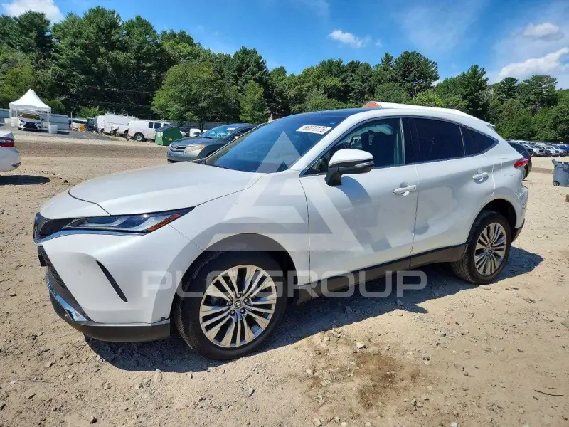 2024 Toyota VENZA photo