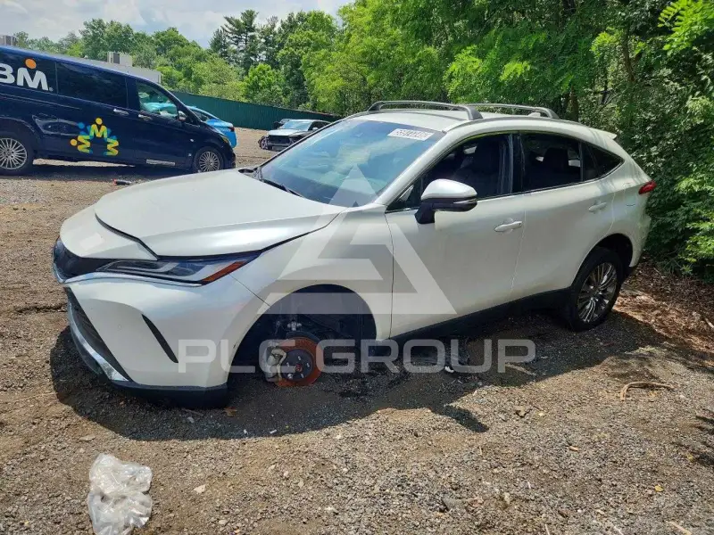 2024 Toyota VENZA photo