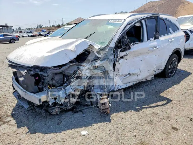 2024 KIA Sorento photo