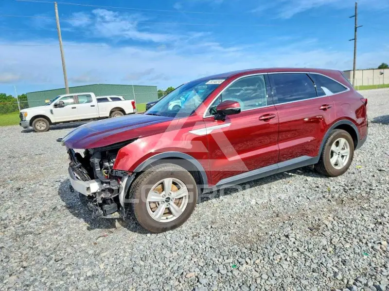 2024 KIA Sorento photo