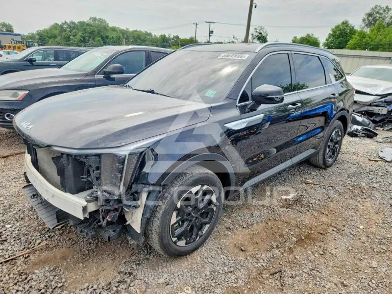 2024 KIA Sorento photo