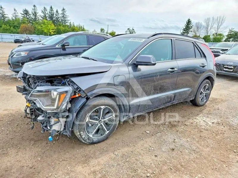 2024 KIA Niro фото