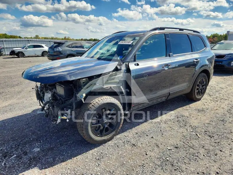 2024 KIA Telluride photo