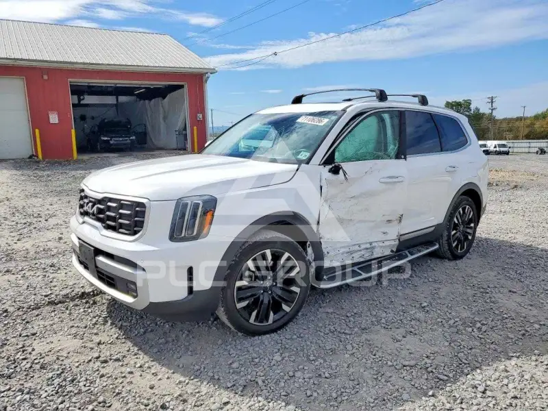 2024 KIA Telluride photo