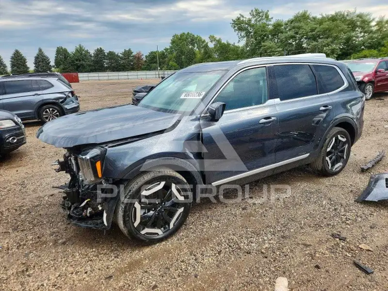 2024 KIA Telluride photo