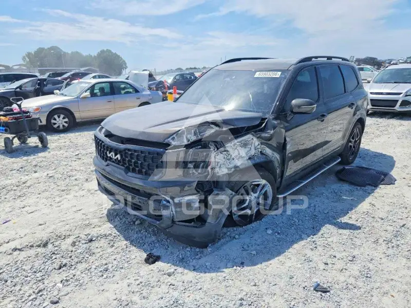2024 KIA Telluride photo