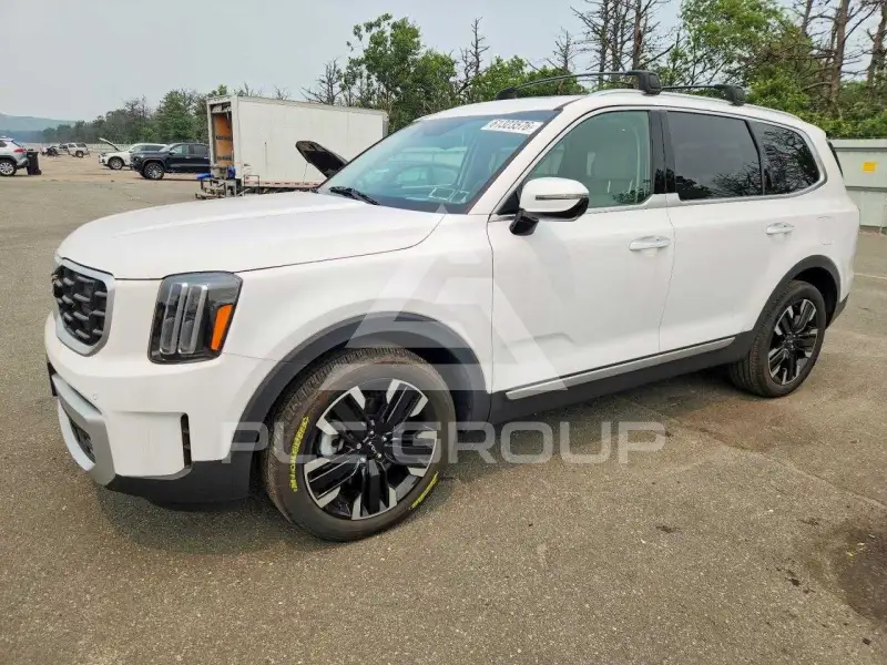 2024 KIA Telluride photo