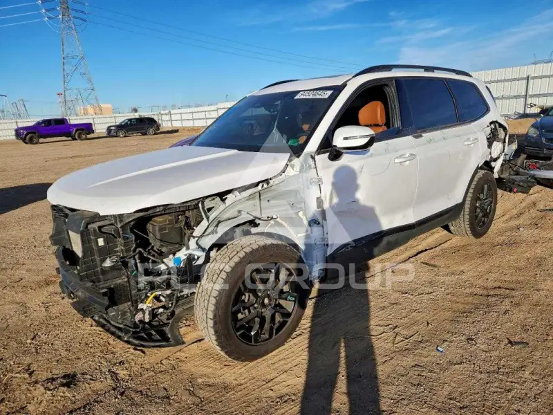 2024 KIA Telluride photo