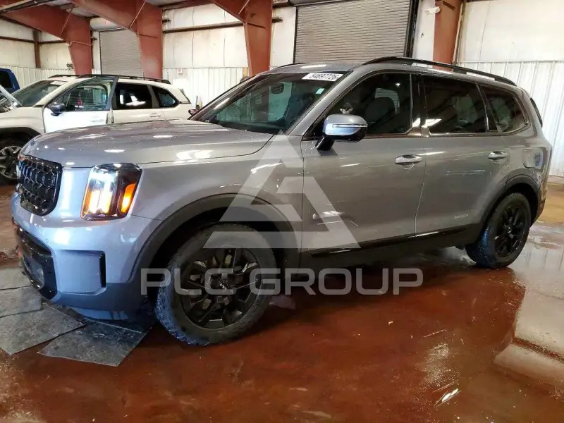 2024 KIA Telluride photo