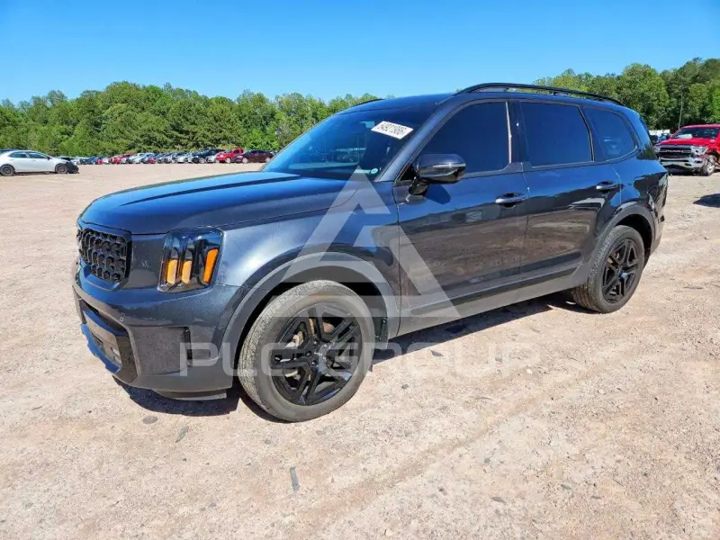 2024 KIA Telluride photo