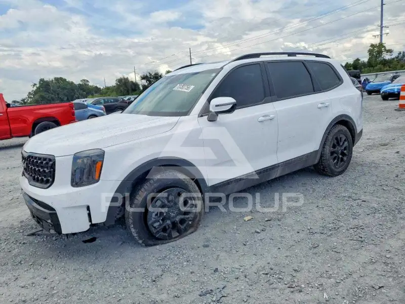 2024 KIA Telluride photo
