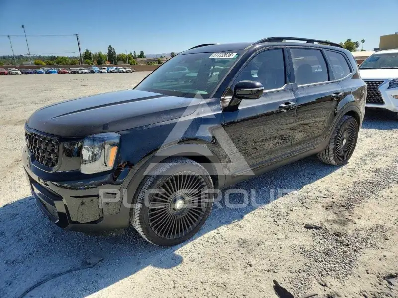 2024 KIA Telluride photo