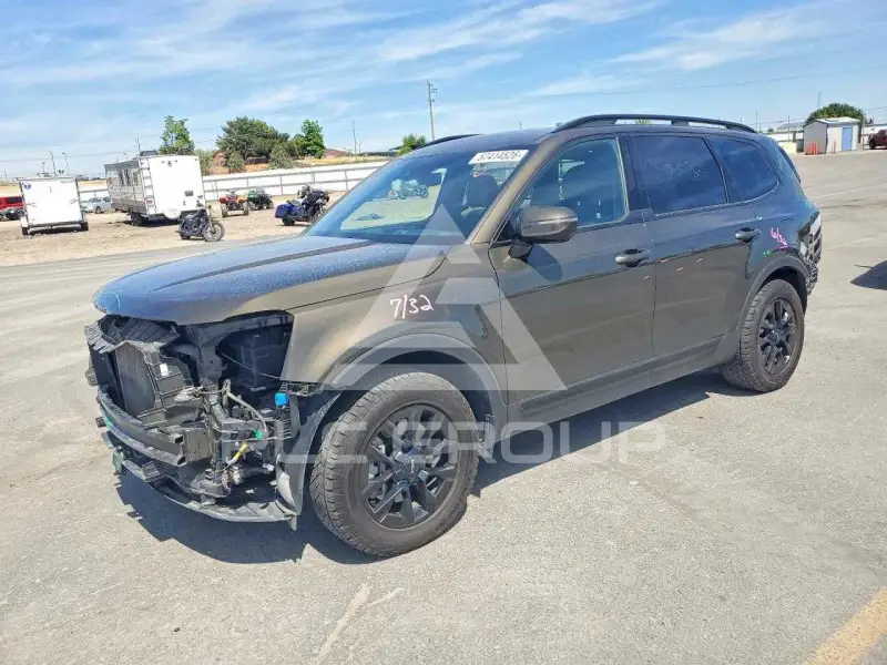 2024 KIA Telluride photo