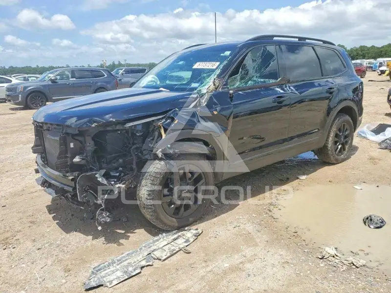 2024 KIA Telluride photo