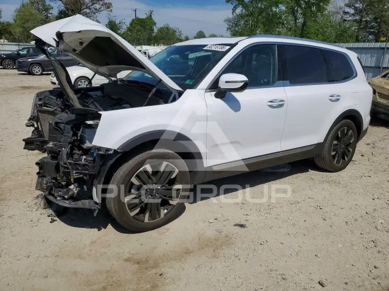 2024 KIA Telluride photo