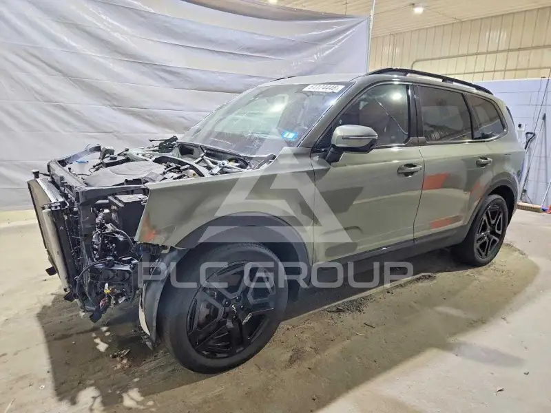 2024 KIA Telluride photo