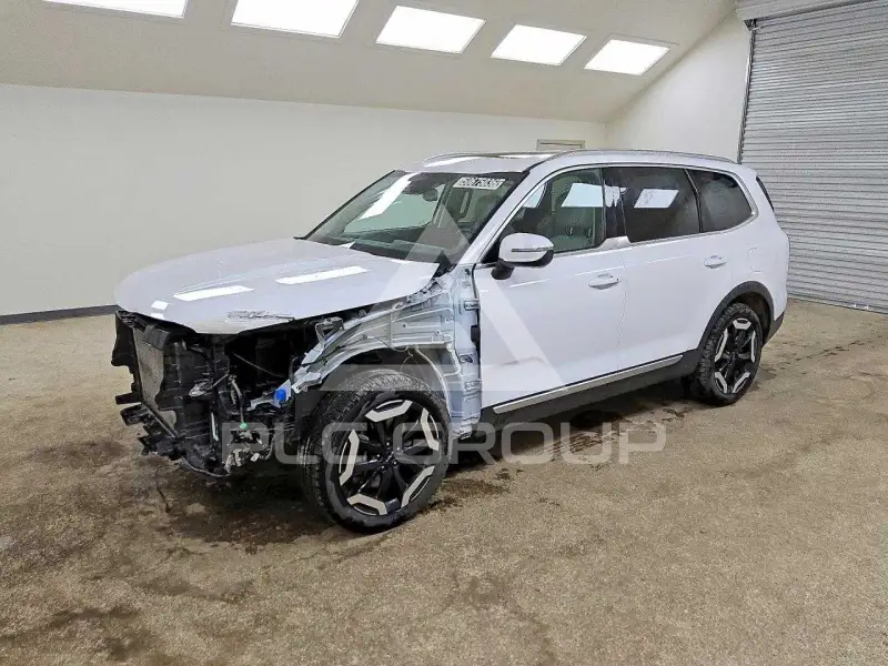 2024 KIA Telluride photo