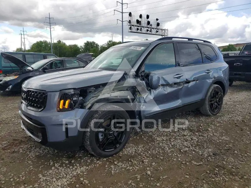 2024 KIA Telluride photo