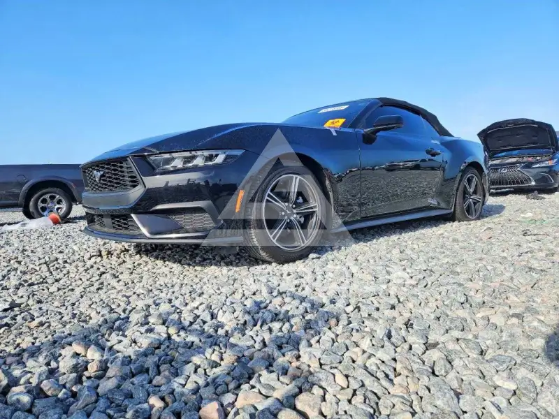 2024 Ford MUSTANG фото