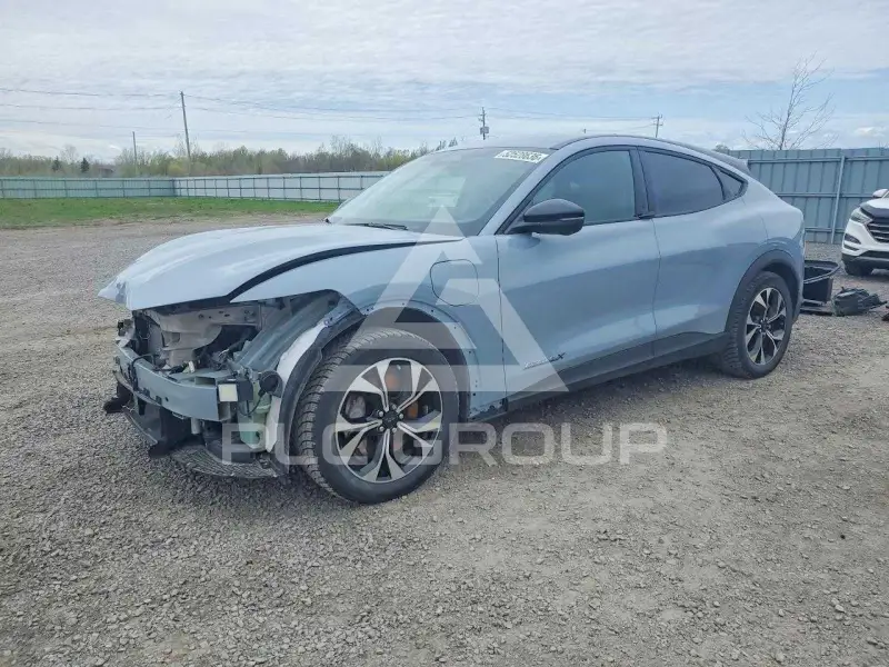 2024 Ford MUSTANG photo
