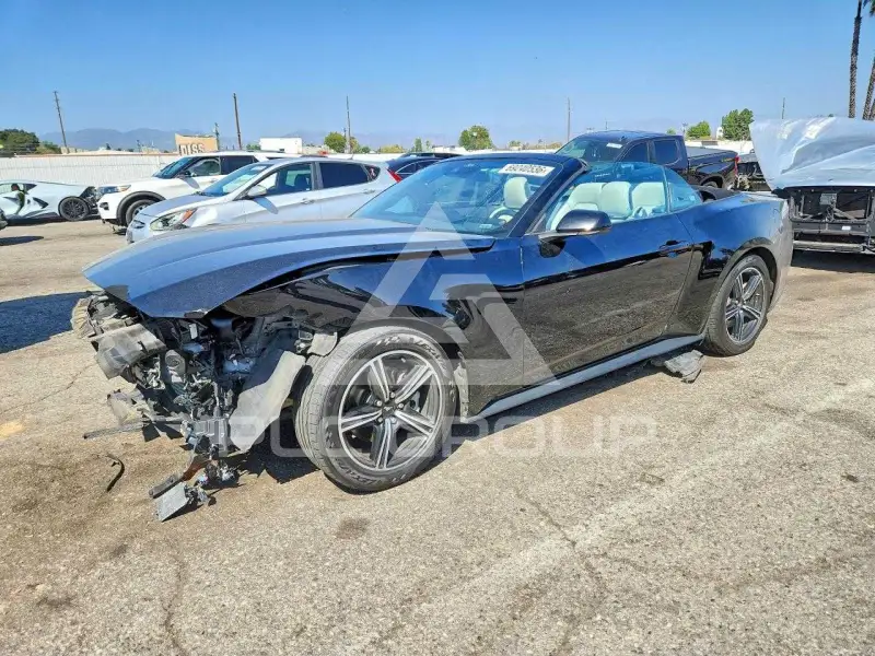 2024 Ford MUSTANG фото