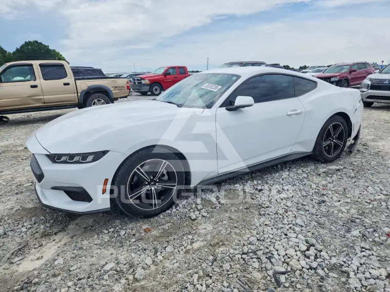 2024 Ford MUSTANG фото