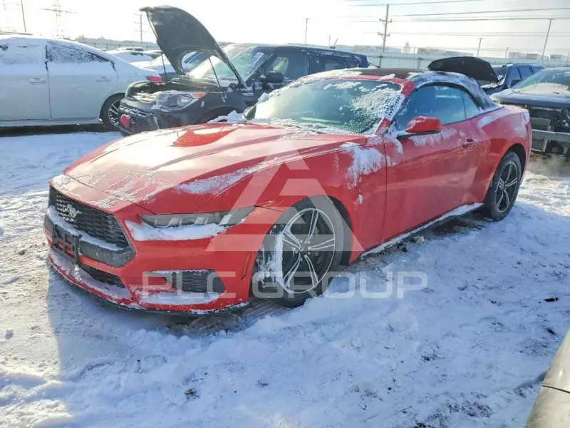 2024 Ford MUSTANG photo