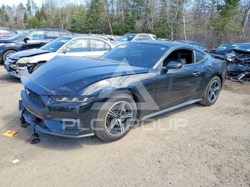 2024 Ford MUSTANG фото