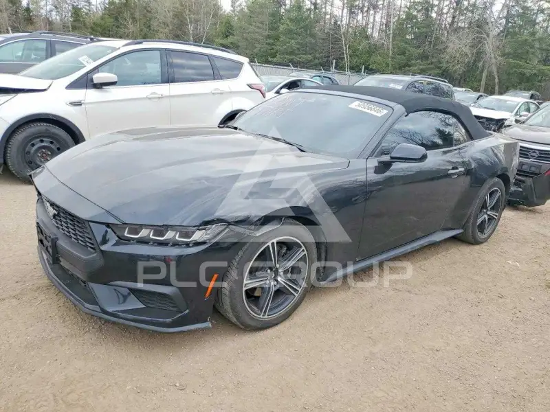 2024 Ford MUSTANG фото