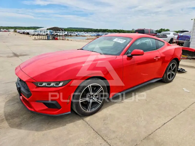 2024 Ford MUSTANG photo