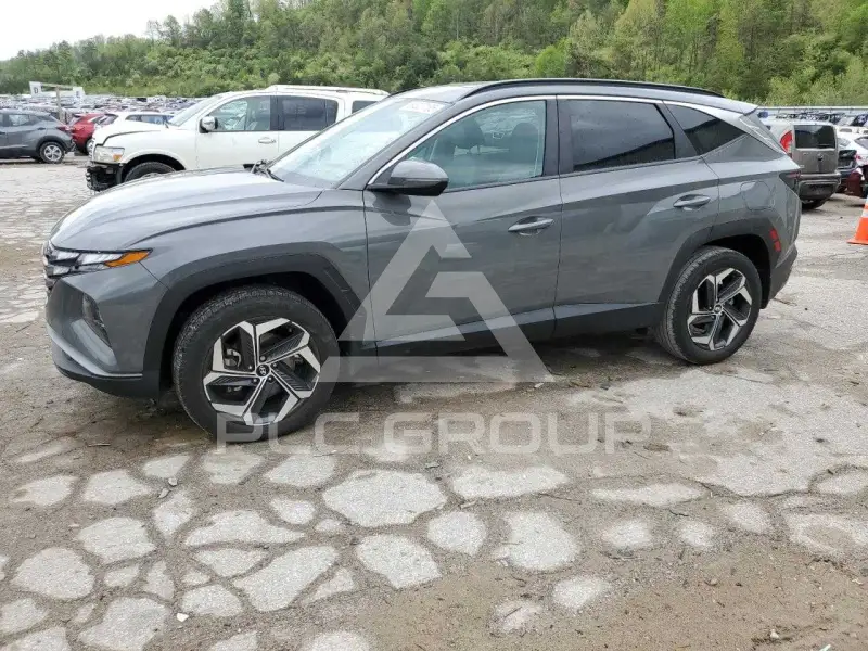 2024 Hyundai Tucson photo