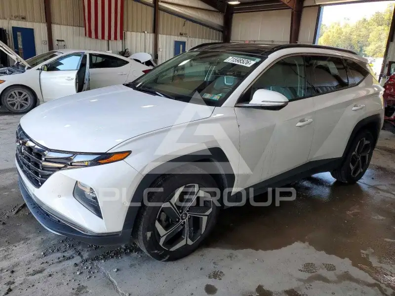 2024 Hyundai Tucson photo
