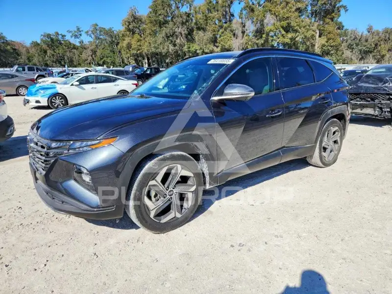 2024 Hyundai Tucson photo