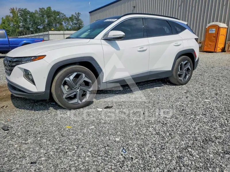 2024 Hyundai Tucson фото