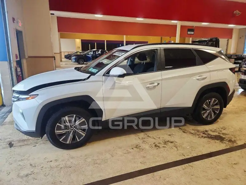 2024 Hyundai Tucson photo
