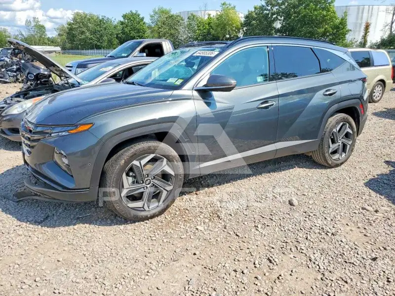 2024 Hyundai Tucson photo