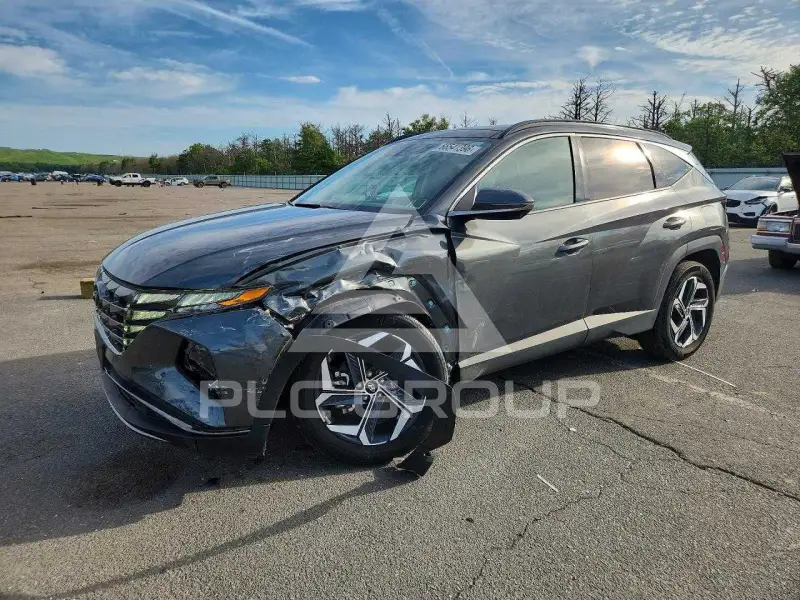 2024 Hyundai Tucson photo