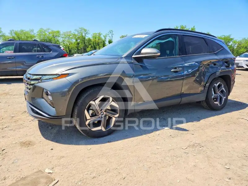 2024 Hyundai Tucson photo