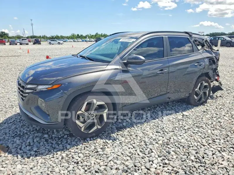 2024 Hyundai Tucson photo