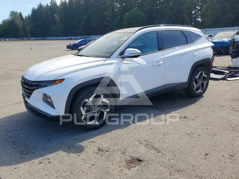 2024 Hyundai Tucson photo