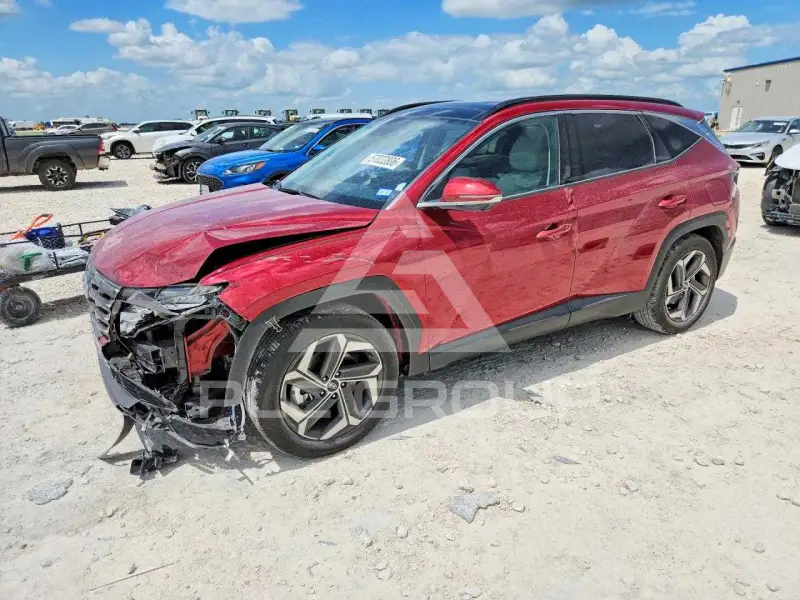2024 Hyundai Tucson фото